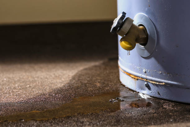 Best Professional water damage repair  in Peru, IN