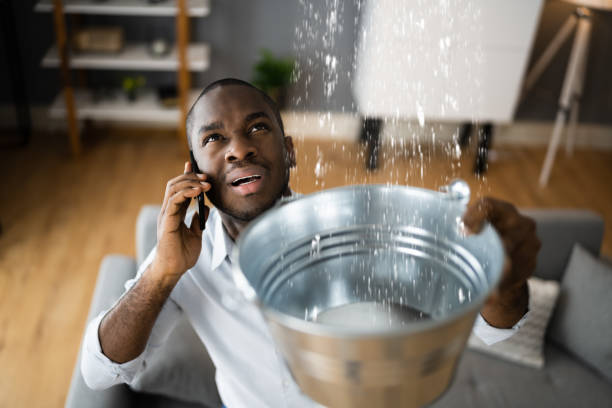 Best Water damage cleanup near me  in Peru, IN