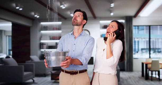 Best Mold removal after water damage  in Peru, IN