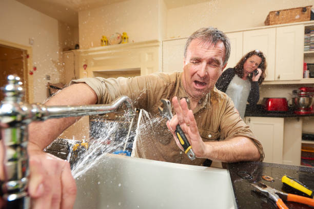 Best Flood damage cleanup  in Peru, IN